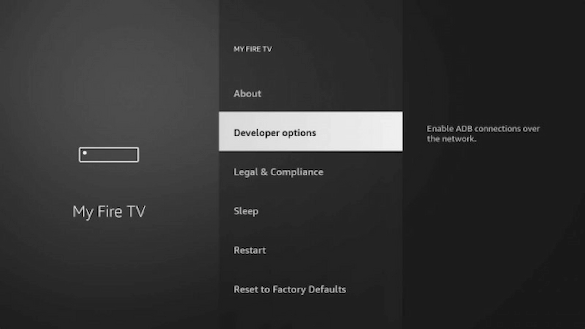 Developer Options highlighted